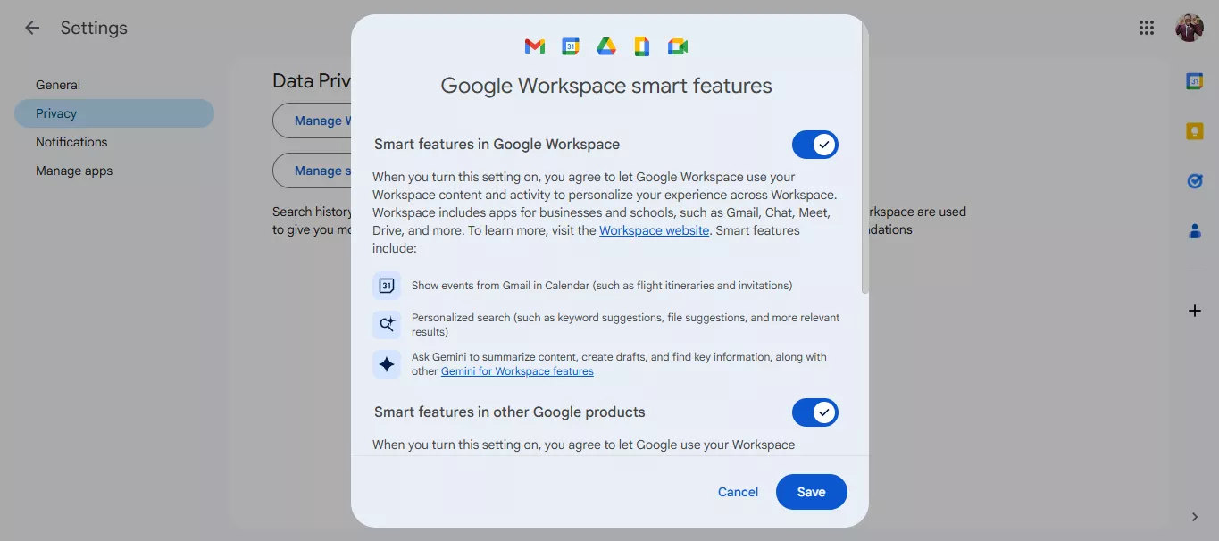 privacy settings in google dive with toggle switches