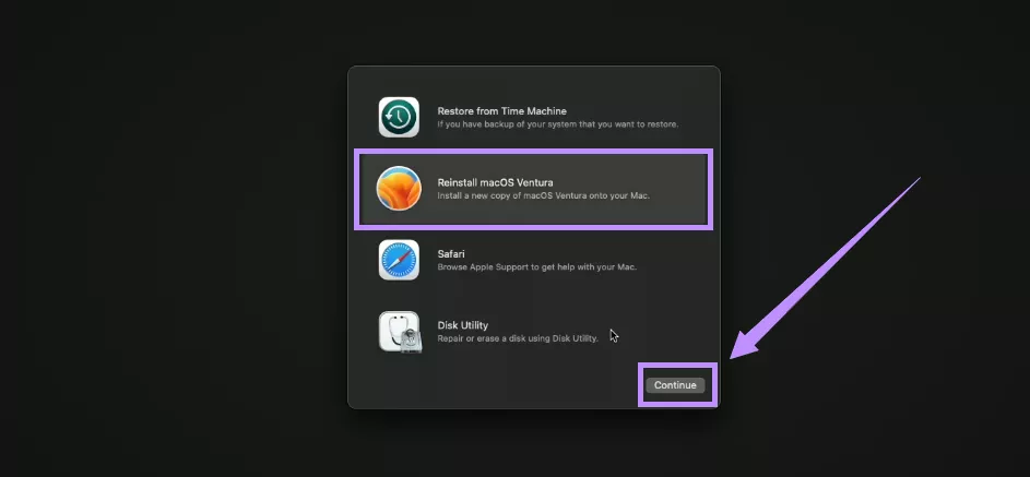 select reinstall macos and continue mac