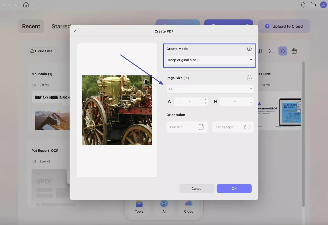choose dimensions updf mac