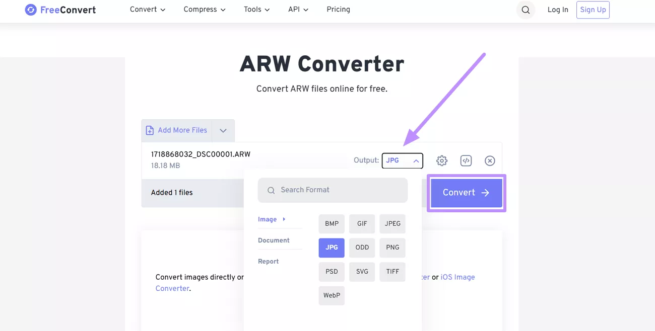 choose format and tap convert