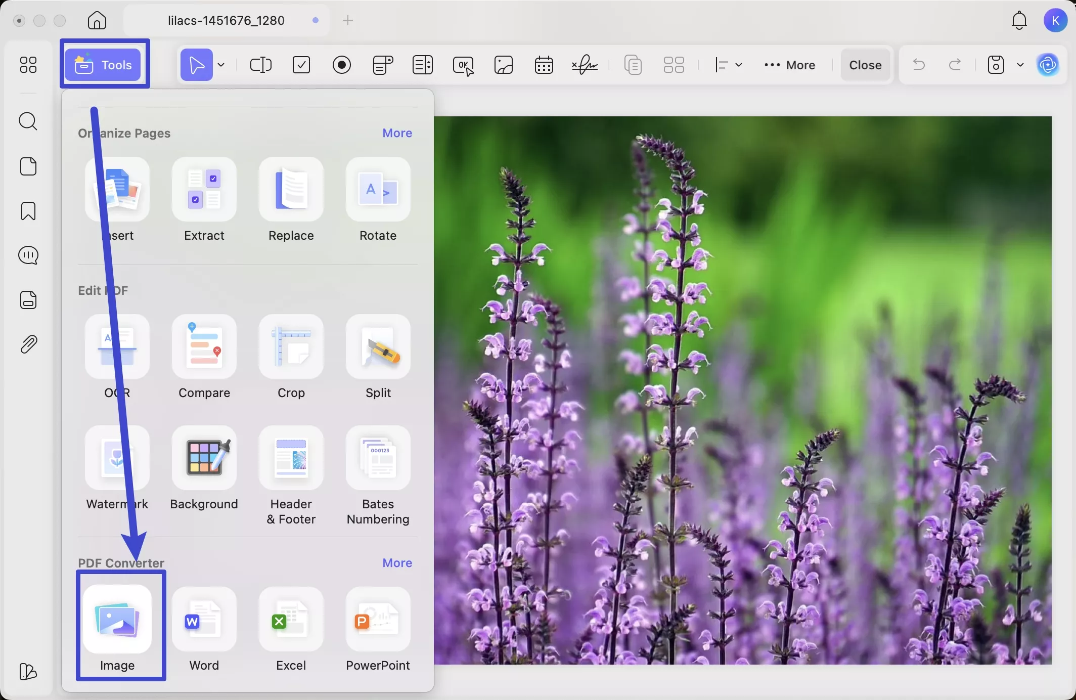  choose image under tools in updf