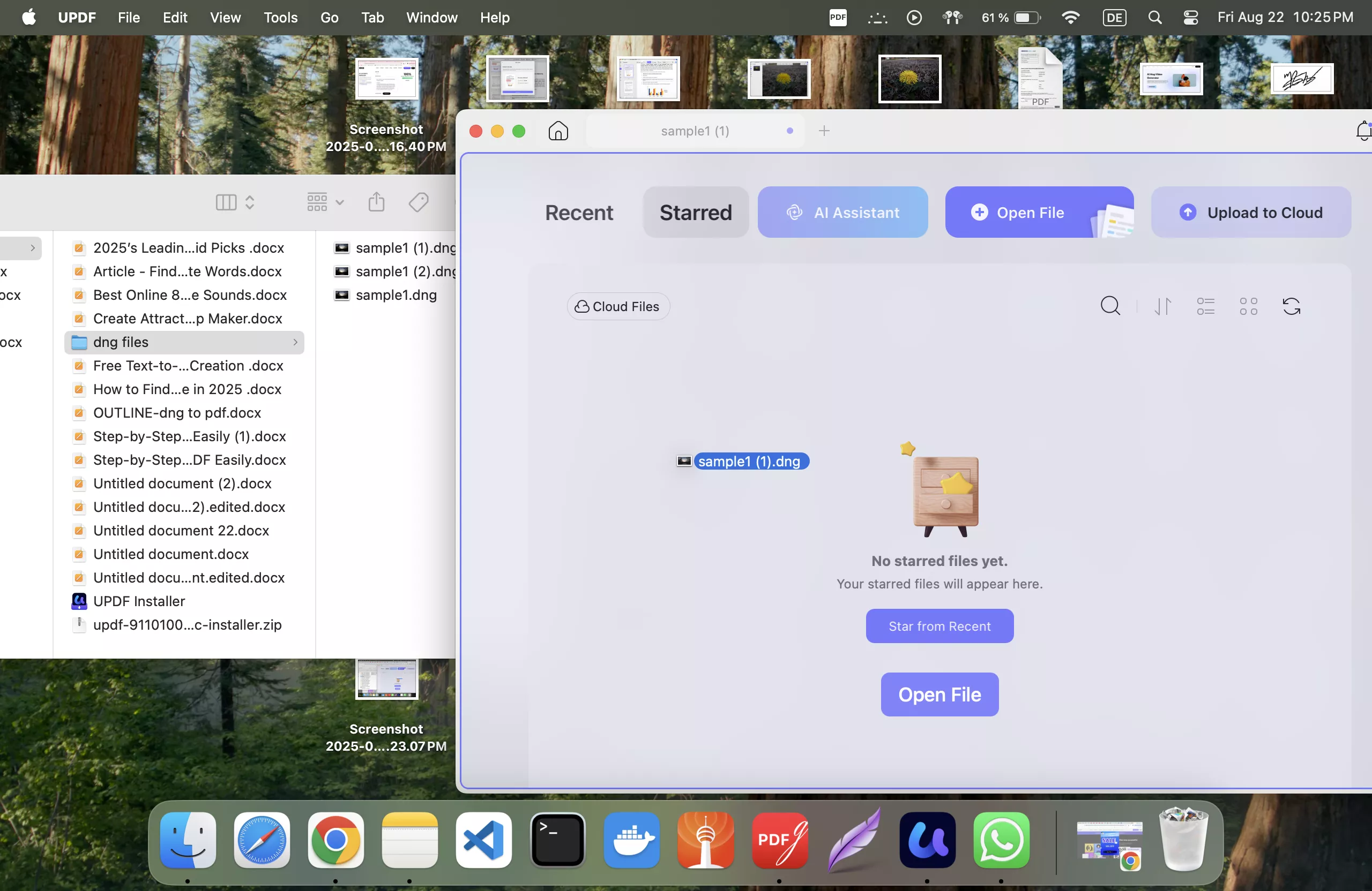 drag-and-drop-dng-file
