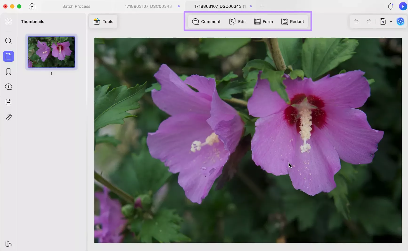 edit converted arw file