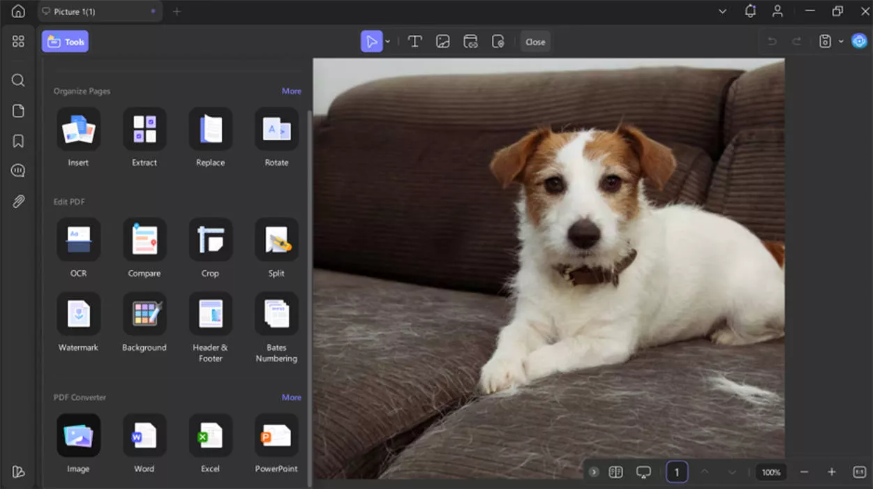 enter the pdf to image converter pdf mac