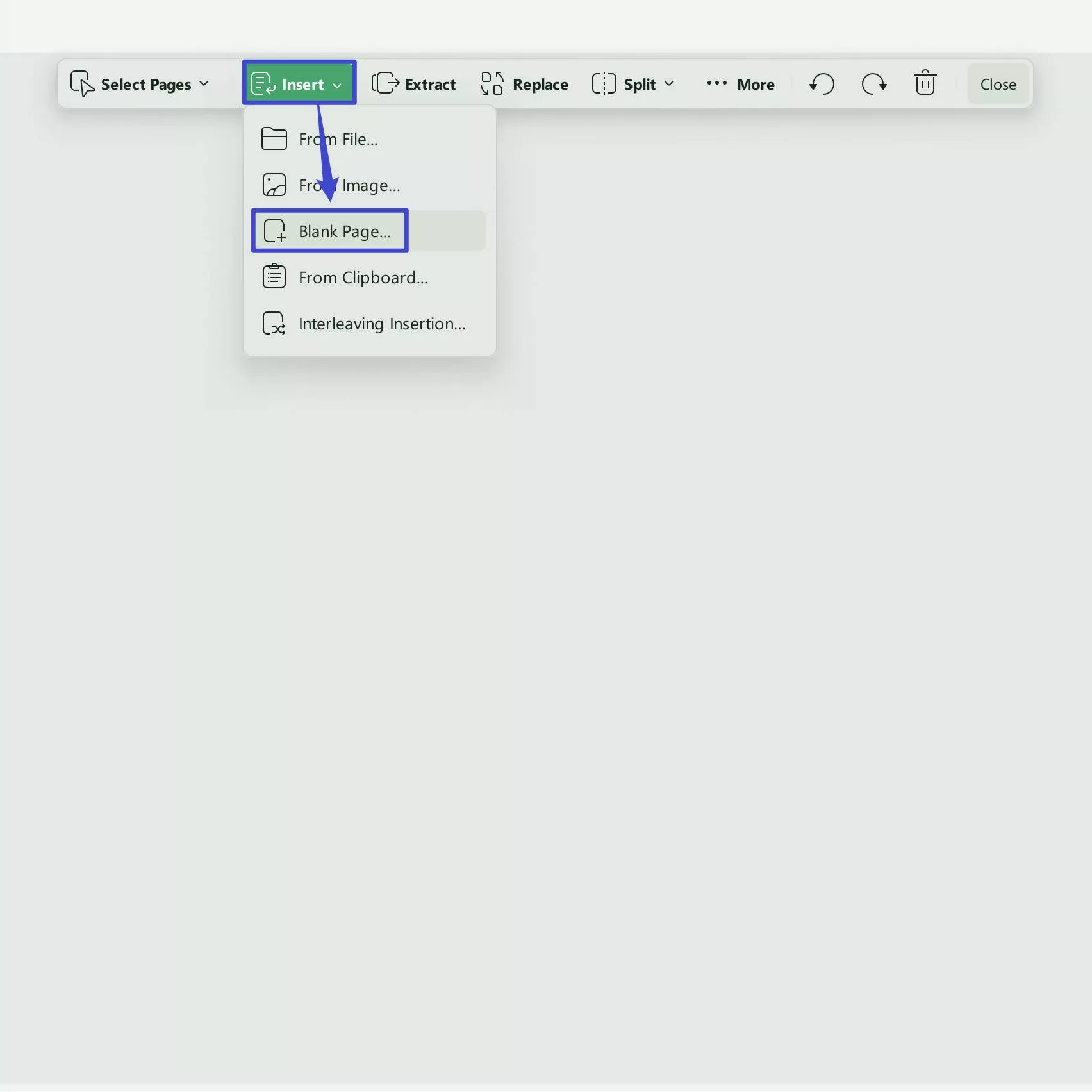 insert blank page in updf
