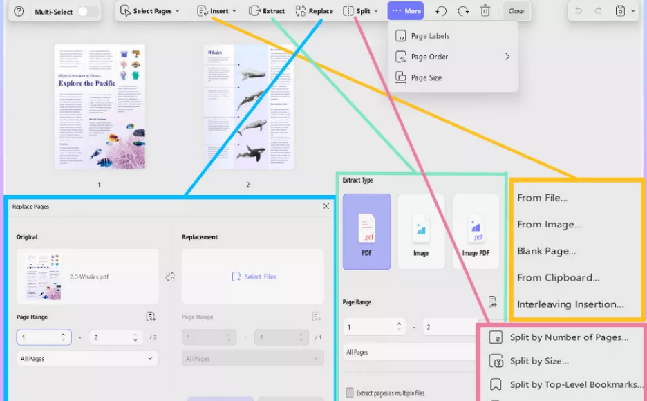 Organize files on UPDF Mac app