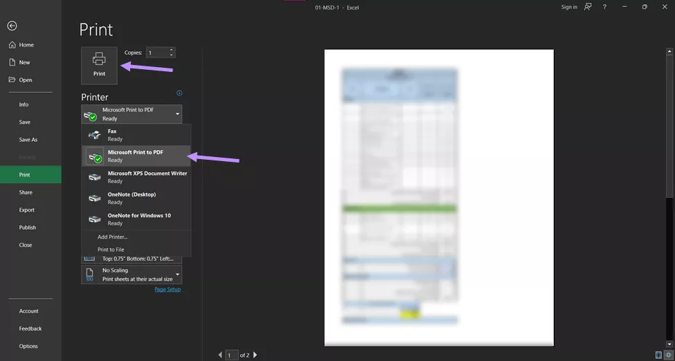 Print using Microsoft Print to PDF