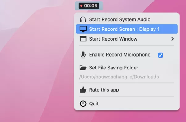 record system audio and microphone