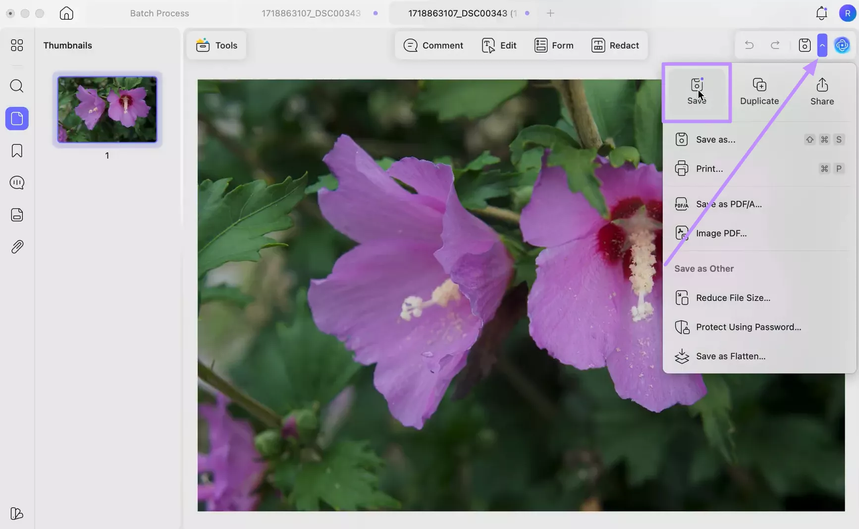 save file on updf mac