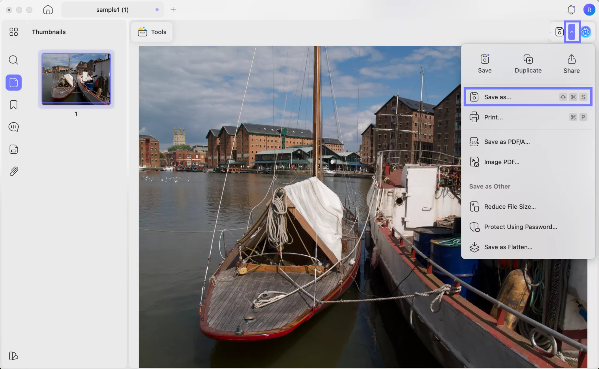 save raf file as a pdf updf mac