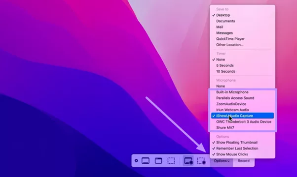 select microphone for audio recording