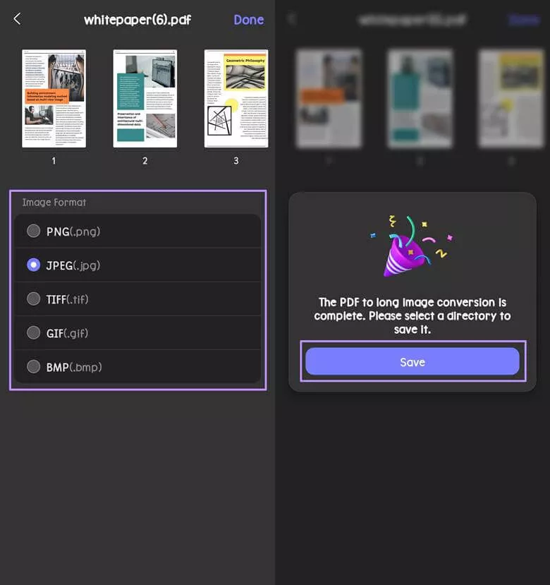 choose the image format updf moni;e