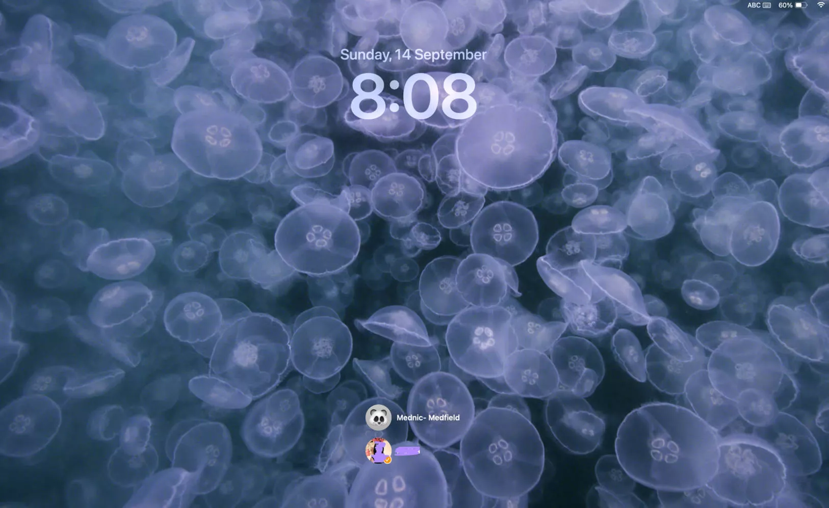 login to another profile on mac