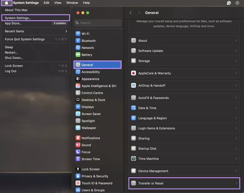 Alt text: reset mac from settings