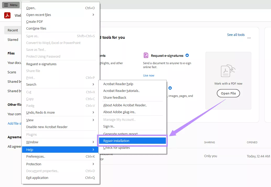 choose repair installation
