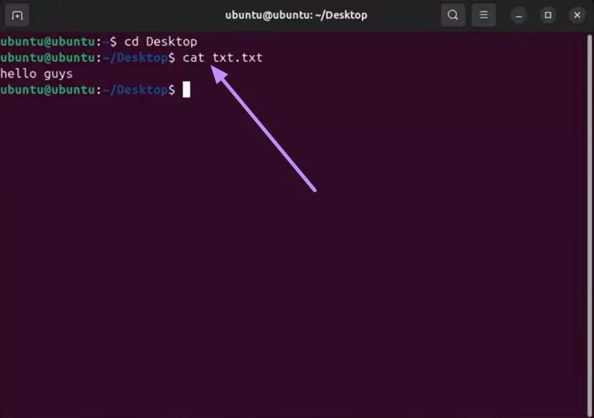 type cat filename.txt