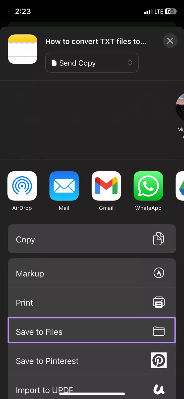 choose save to files option