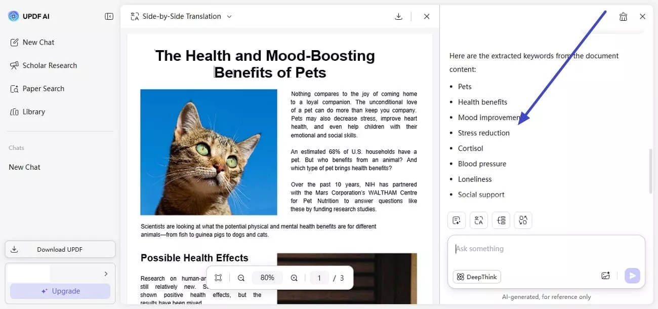 extract keywords and themes