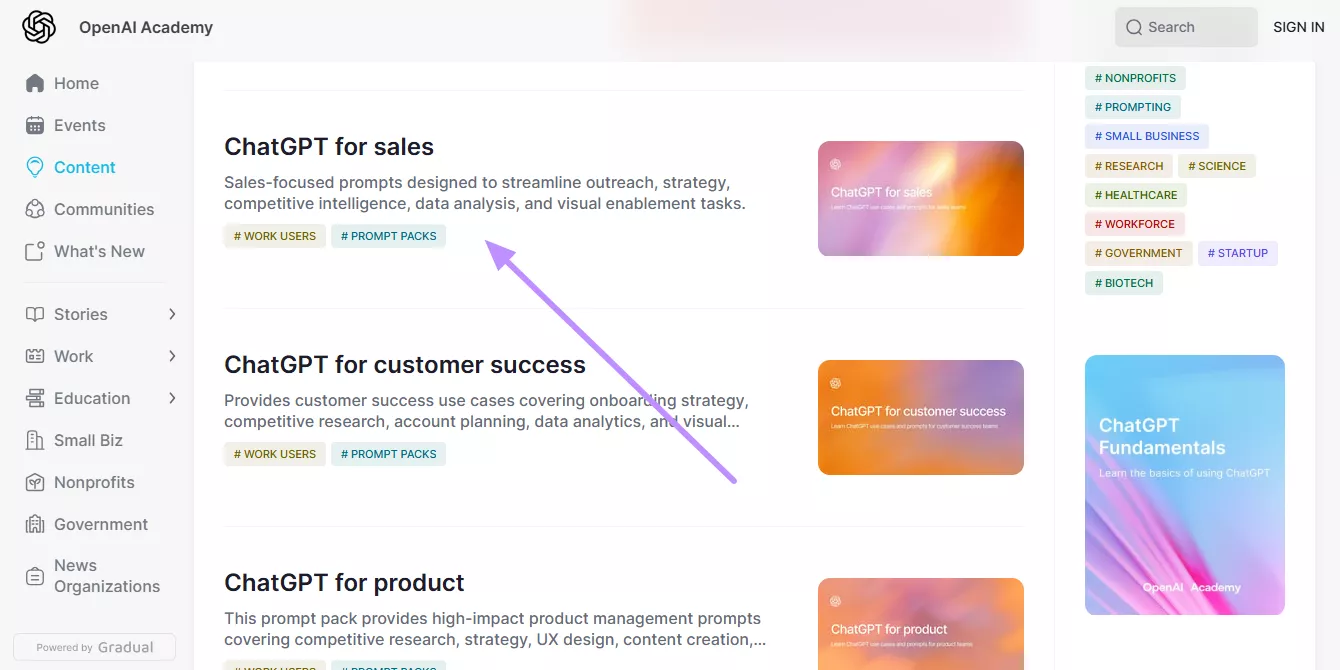 access desired ai prompt pack
