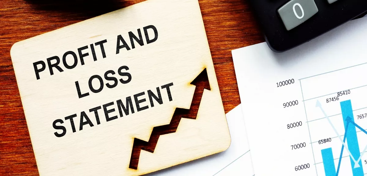 understanding profit loss statement report